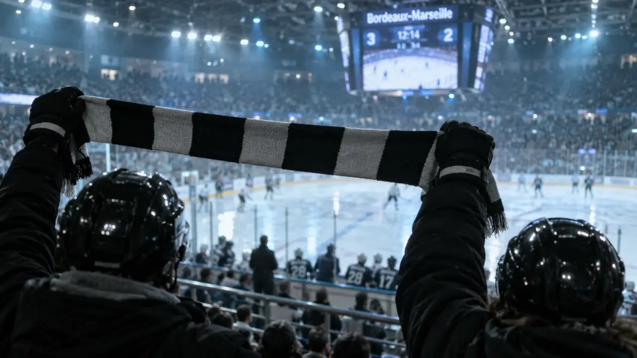 Les Boxers de Bordeaux cèdent face à Marseille à Mériadeck